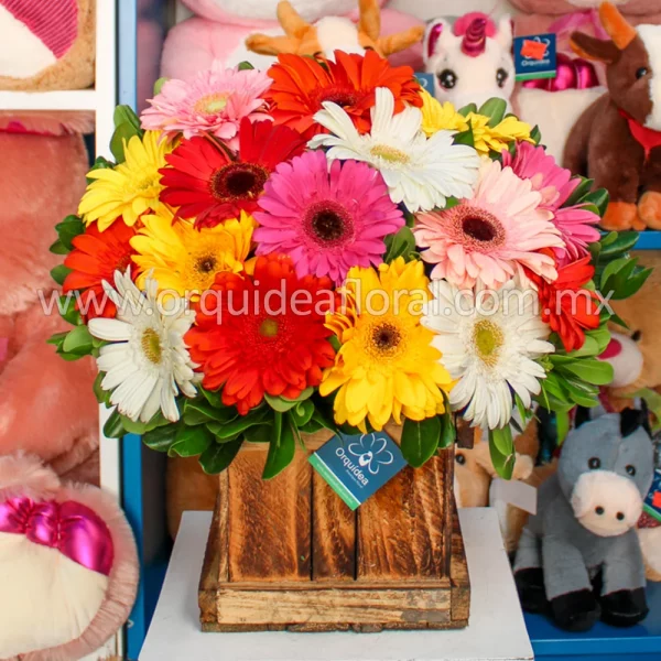 Floral Burgos
