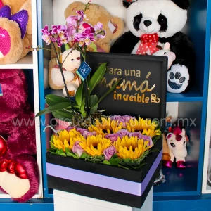 Orquídea Box con Rosas & Girasoles