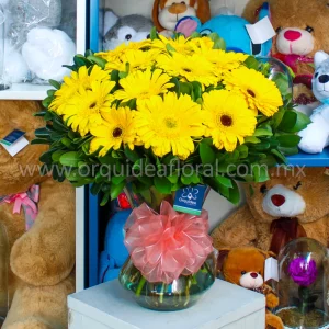 Jarrón 12 Gerberas Amarillas