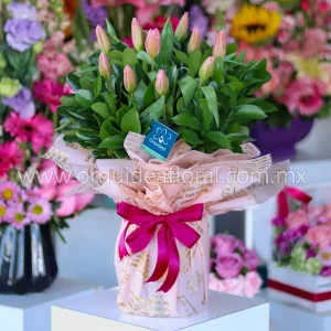 Jarrón 10 Tulipanes Premium