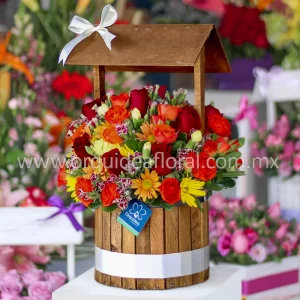 Pozo Rustico Naranja Mix