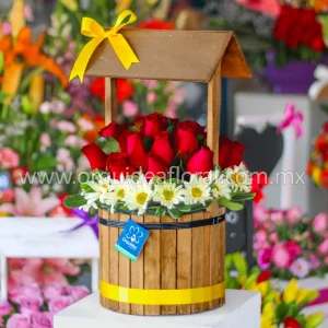 Pozo Rustico Rosas Rojas & Margaritas