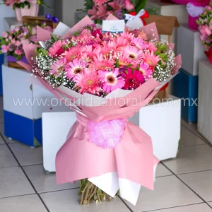 50 Gerberas Pastel Deluxe